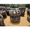 Image 1 : SKIDDER TIRES & RIMS (2EA)