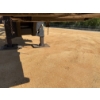 Image 6 : 2019 CAT 559D Log Loader