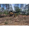 Image 3 : 2020 TIGERCAT 234B Log Loader