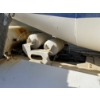 Image 22 : 2014 PHEONIX  Concrete Mixer / Pump Truck