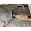 Image 7 : 2012 FORD F450 XL Service / Mechanic Truck