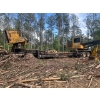 Image 2 : 2020 TIGERCAT 234B Log Loader