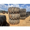 Image 2 : (3) SKIDDER TIRES W/ RIMS