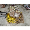 Image 2 : ROPE