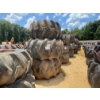 Image 1 : SKIDDER TIRES & RIMS (3EA)