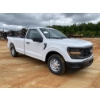 Image 4 : 2024 FORD F150 XL Pickup Truck
