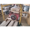 Image 8 : (4) WACKER NEUSON PUMPS & (1) PREDATOR Pump