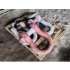 Image 1 : VARIOUS SHACKLES