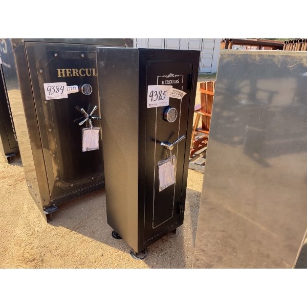 (10) GUN SAFE