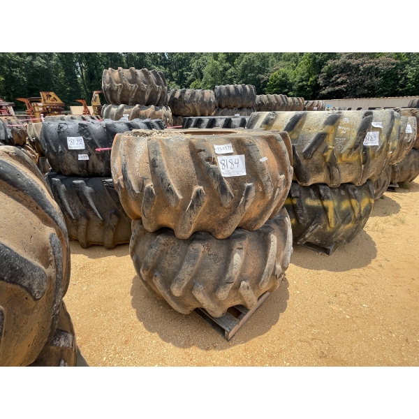 SKIDDER TIRES & RIMS (2EA)