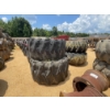 Image 1 : LOG SKIDDER TIRES & RIMS (2EA)