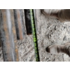 Image 2 : (6) 3" STEEL PIPE