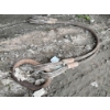 Image 3 : WIRE ROPE SLINGS