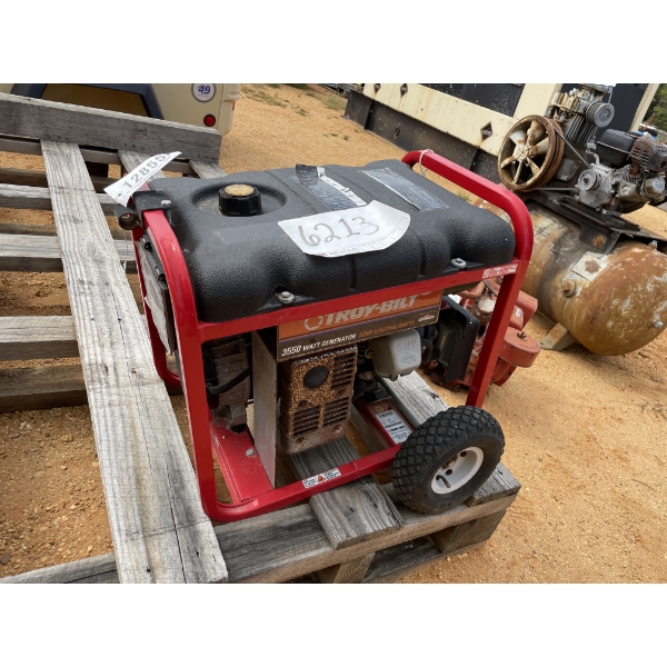 TROY BILT 1924 Generator
