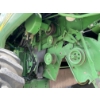 Image 11 : 2004 JOHN DEERE 9660 STS Combine
