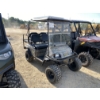Image 4 : THE BEAST  UTV