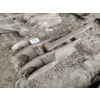 Image 1 : MANUAL THUMB
