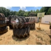 Image 1 : SKIDDER TIRES & RIMS (4) EA