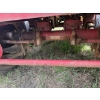 Image 4 : 2016 PITTS LP42 Log Trailer