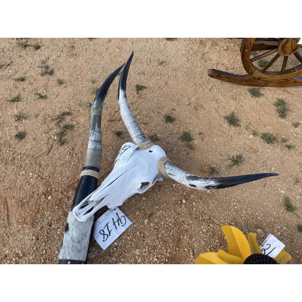 BULL SKULL AND HORNS