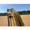 Image 12 : 2021 CAT 317 Excavator
