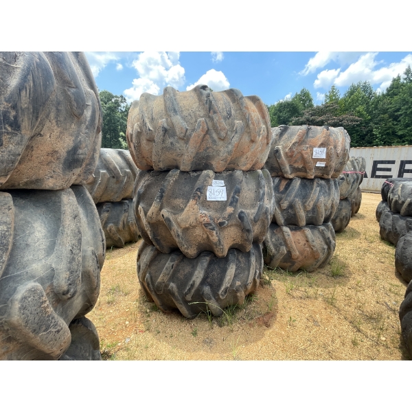 SKIDDER TIRES & RIMS (3EA)
