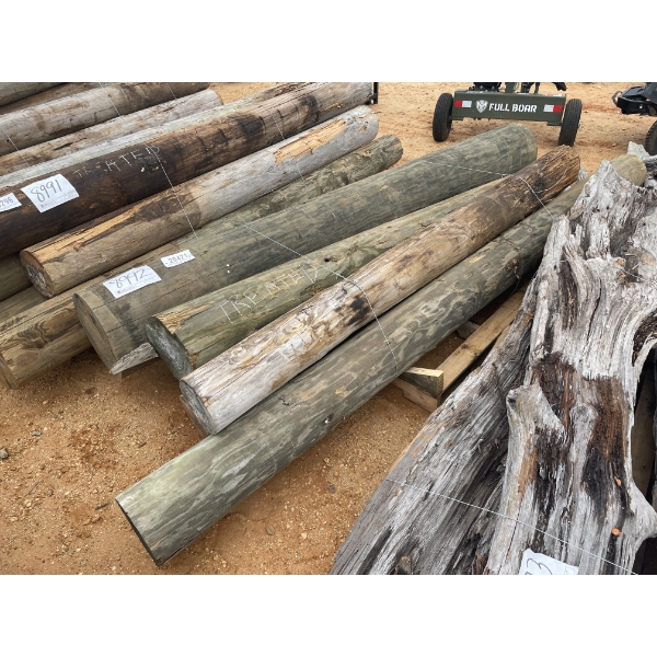 120" TREATED FENCE POST (5 EACH)