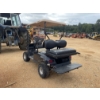 Image 3 : EZ-GO  Golf Cart