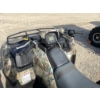 Image 10 : 2010 KAWASAKI BRUTE FORCE UTV