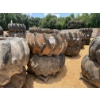 Image 1 : SKIDDER TIRES & RIMS (2EA)
