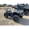 Image 4 : 2010 KAWASAKI BRUTE FORCE UTV