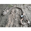 Image 2 : WIRE ROPE SLINGS