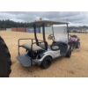 Image 3 : 2014 YAMAHA  Golf Cart