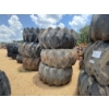 Image 2 : SKIDDER TIRES & RIMS (3EA)