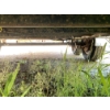 Image 7 : 16' Cargo Trailer