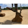 Image 5 : 2020 VOLVO EC220EL Excavator