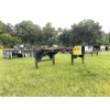 Image 4 : 2023 DORSEY SC40 Container Trailer Chassis