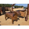 Image 1 : BULL BBQ GRILL