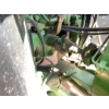 Image 11 : 2005 JOHN DEERE 9520 Scraper Tractor