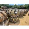 Image 1 : SKIDDER TIRES & RIMS (2EA)