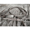 Image 3 : WIRE ROPE SLINGS