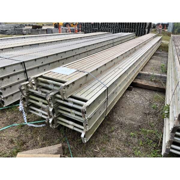 32' X 20" WERNER 2-PERSON ALUMINUM STAGE Aerial Work Platform