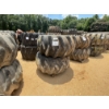 Image 1 : SKIDDER TIRES & RIMS (2EA)