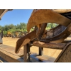 Image 13 : 2019 JOHN DEERE 437E Log Loader