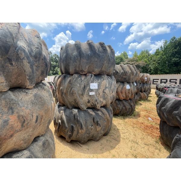 SKIDDER TIRES & RIMS (3EA)