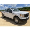 Image 4 : 2022 FORD F150 XL Pickup Truck
