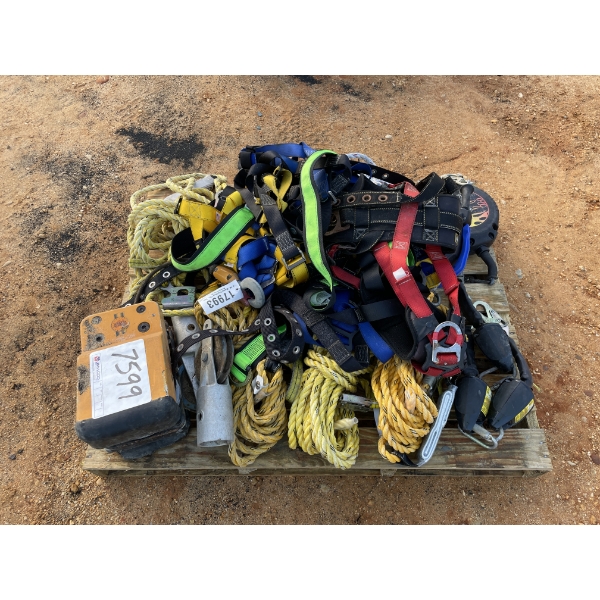 FALL PROTECTION AND HARNESSES