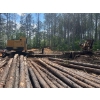 Image 5 : 2020 TIGERCAT 234B Log Loader