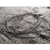 Image 2 : WIRE ROPE CHOCKERS