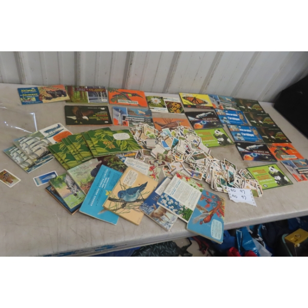 Large Lot Of Vintage Red Rose Tea Cards, Some In Albums